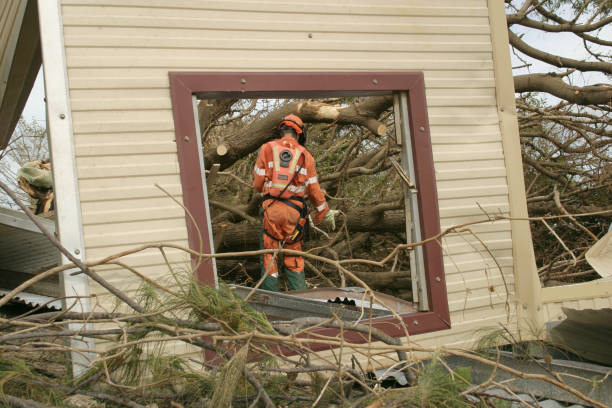 Tuscaloosa, AL Tree Services Company