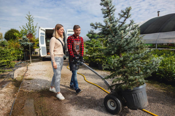 Best Tree Risk Assessment  in Tuscoosa, AL